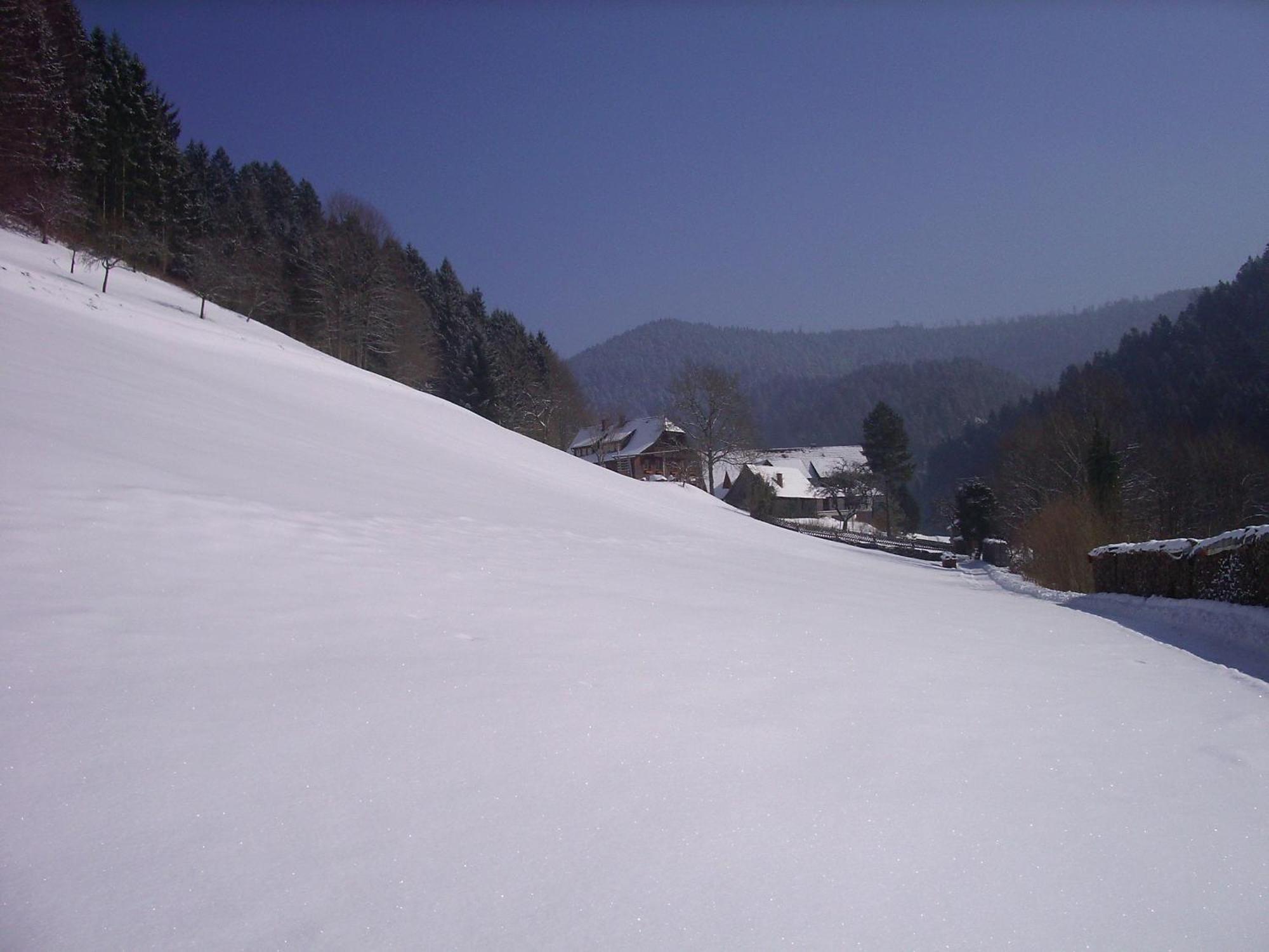 Ferienwohnungen Vogt'S Libding Bad Rippoldsau-Schapbach ภายนอก รูปภาพ