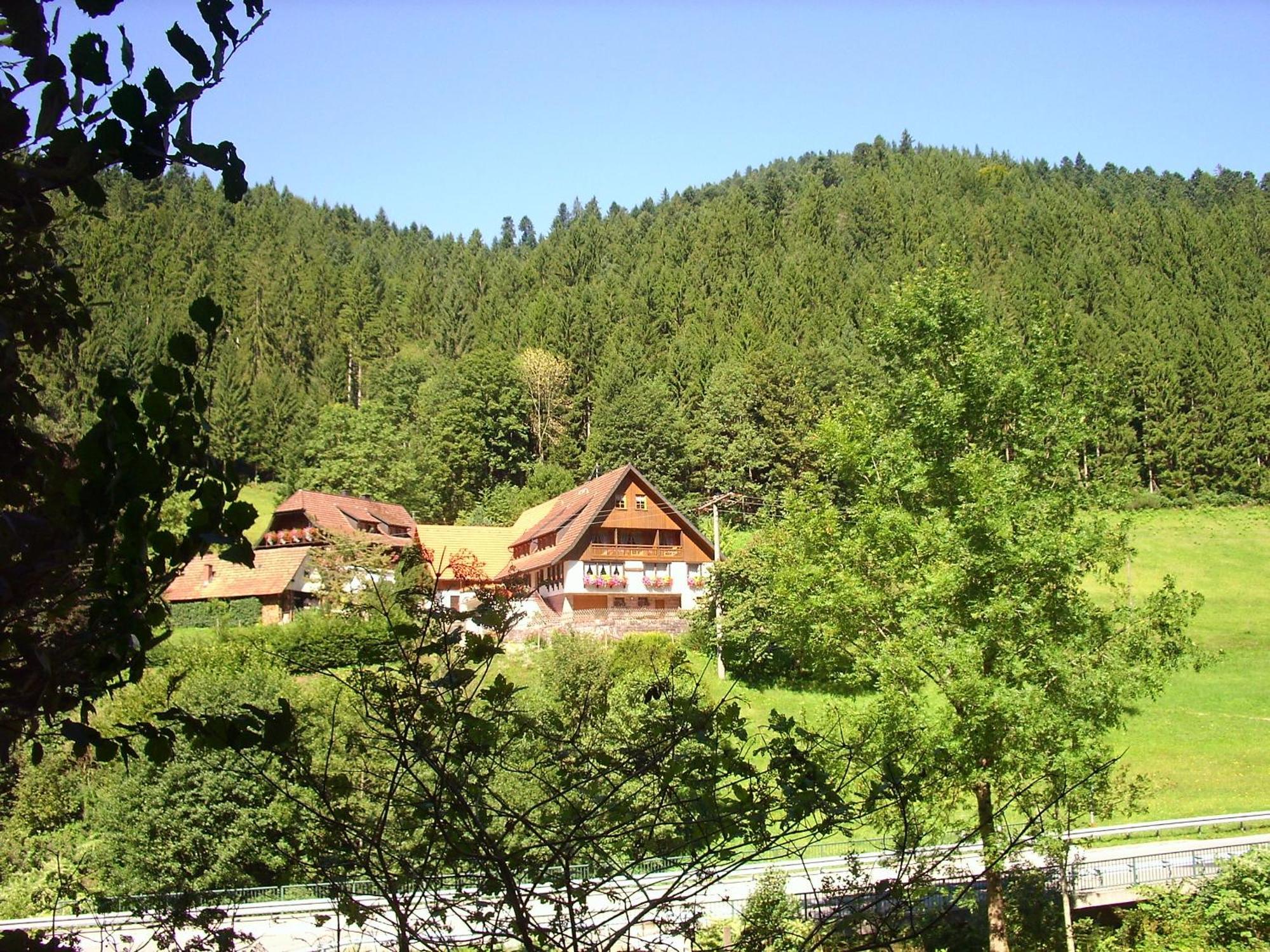 Ferienwohnungen Vogt'S Libding Bad Rippoldsau-Schapbach ภายนอก รูปภาพ