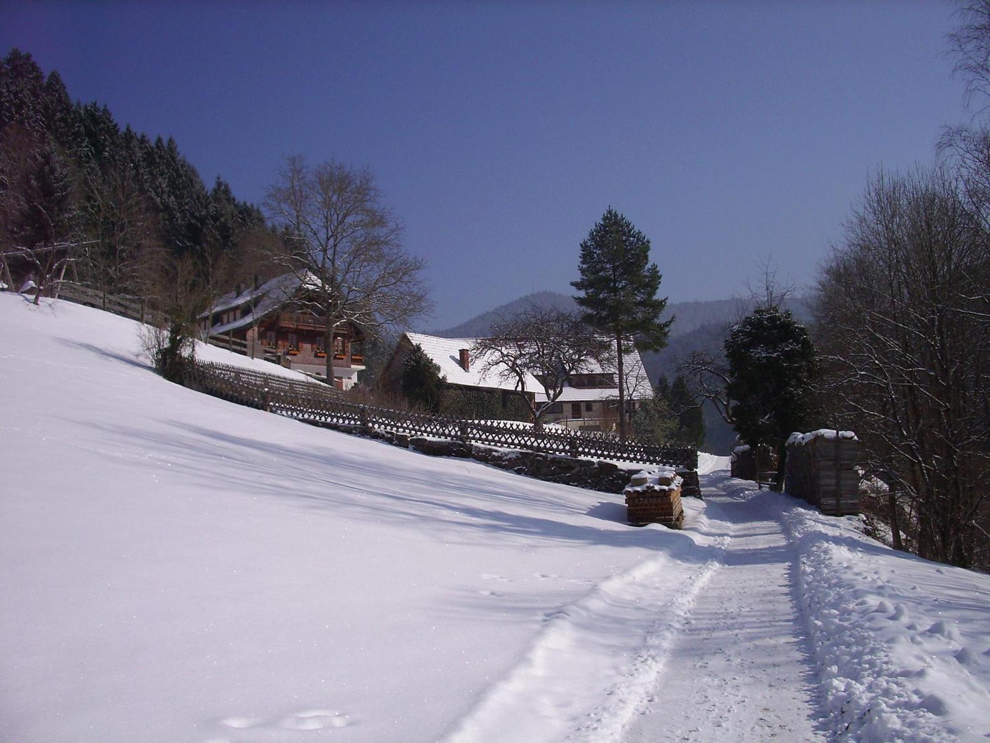 Ferienwohnungen Vogt'S Libding Bad Rippoldsau-Schapbach ภายนอก รูปภาพ